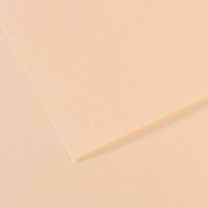 Canson Mi-Teintes Drawing Paper 19" x 25" - Oyster 340