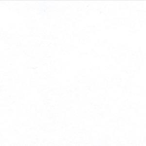 Canson Colorline Paper 19" x 25" - White (Snow)