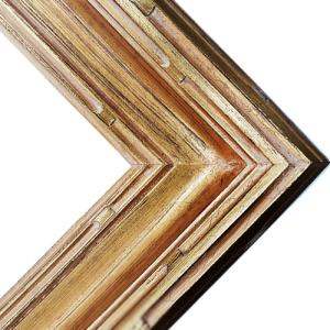 Series 530G Gold Frame - 8" x 10"