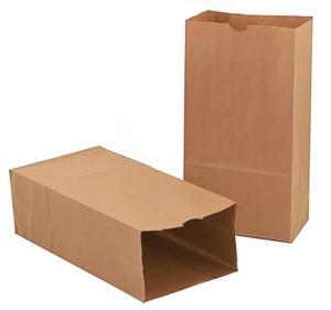Hygloss Paper Party (Lunch) Bags - (50 Pack) Natural
