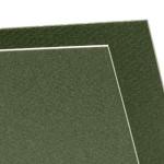 Canson Mi-Teintes Art Board 16" x 20" - Ivy