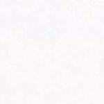 Bristol Plate Board Smooth 20x30