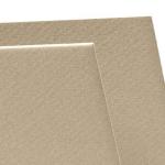 Canson Mi-Teintes Art Board 16" x 20" - Pearl