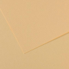 cn100511242