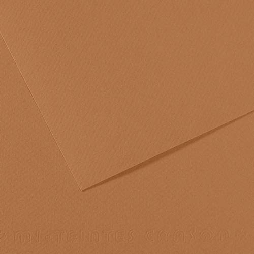 cn100511256