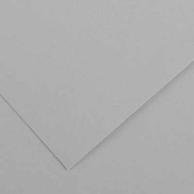Canson Colorline Paper 19" x 25" - Light Grey (Mouse)