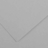 Canson Colorline Paper 19" x 25" - Mouse