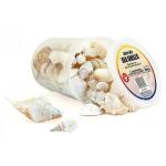 Hygloss Sea Shells 16oz - White Mix