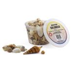 Hygloss Sea Shells 16oz - Natural