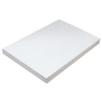 Pacon Tagboard 12" x 18" - (100 Sheets) White
