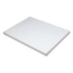 Pacon Tagboard 18" x 24" - (100 Sheets) White