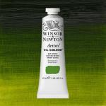 Winsor & Newton Artists' Oil Colour Paint - (1.25oz/37ml) Sap Green