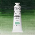 Winsor & Newton Artists' Oil Colour Paint - (1.25oz/37ml) Terra Verte