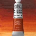 Winsor & Newton Winton Oil Colour Paint - (1.25oz/37ml) Burnt Sienna