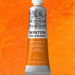 Winsor & Newton Winton Oil Colour Paint - (6.75oz/200ml) Cadmium Orange Hue
