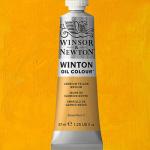 Winsor & Newton Winton Oil Colour Paint - (1.25oz/37ml) Cadmium Yellow Medium
