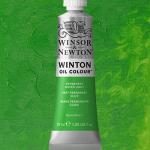 Winsor & Newton Winton Oil Colour Paint - (1.25oz/37ml) Permanent Green Light