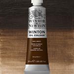 Winsor & Newton Winton Oil Colour Paint - (6.75oz/200ml) Raw Umber