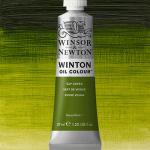 Winsor & Newton Winton Oil Colour Paint - (6.75oz/200ml) Sap Green
