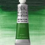 Winsor & Newton Winton Oil Colour Paint - (1.25oz/37ml) Terra Verte