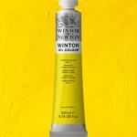 Winsor & Newton Winton Oil Colour Paint - (6.75oz/200ml) Cadmium Yellow Light