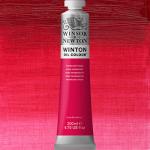 Winsor & Newton Winton Oil Colour Paint - (6.75oz/200ml) Permanent Rose