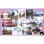 Bob Ross Joy Of Painting Instructional Book - Vol. 11  011