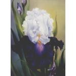 Bob Ross How-To Painting Packet Florals - Iris