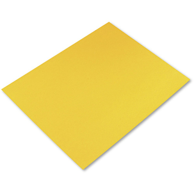Pacon Railroad Poster Board 22" x 28" - 4 Ply Yellow