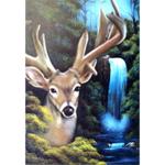 Bob Ross How-To Painting Packet Wildlife - Waterfall Buck