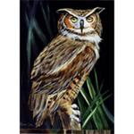 Bob Ross How-To Painting Packet Wildlife - Mr. Owl