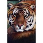 Bob Ross How-To Painting Packet Wildlife - Tiger