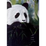 Bob Ross How-To Painting Packet Wildlife - Panda