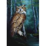 Bob Ross How-To Painting Packet Wildlife - Midnight Owl