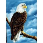 Bob Ross How-To Painting Packet Wildlife - Eagle