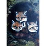 Bob Ross How-To Painting Packet Wildlife - Baby Foxes