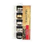 Speedball Pigmented Acrylic Ink Kit - (6 Pieces)