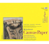 Strathmore 300 Series Canvas Paper Pad 16" x 20" (10 sheets, 115lb)