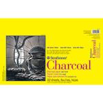 Strathmore 300 Series Charcoal Paper Pad 11" x 17" -  (32 sheets, 64lb) Tape Glue Bound