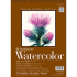 Strathmore 400 Series Watercolor Pad (440) 9" x 12" - (12 Sheets, 140lb) Cold Press