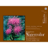Strathmore 400 Series Watercolor Block ( 472 ) 15" x 20" - (15 Sheets, 140lb) Cold Press
