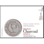 Strathmore 500 Series Charcoal Pad (561) 12" x 18" - (24 sheets, 64lb) Assorted Tints