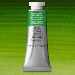 Winsor & Newton Professional Water Colour  (.47oz/14ml) Permanent Sap Green