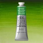 Winsor & Newton Professional Water Colour  (1.25oz/37ml) Permanent Sap Green