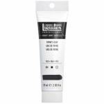 Liquitex Professional Heavy Body Acrylic Paint - (2oz/59ml) Paynes Gray