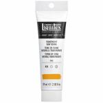 Liquitex Professional Heavy Body Acrylic Paint - (2oz/59ml) Transparent Raw Sienna