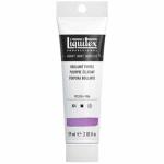 Liquitex Professional Heavy Body Acrylic Paint - (2oz/59ml) Brilliant Purple
