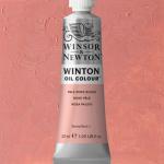 Winsor & Newton Winton Oil Colour Paint - (1.25oz/37ml) Pale Rose Blush- ( flesh tint)