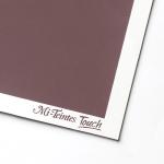 Cason Mi-Teintes Touch Sanded Pastel Paper 22" x 30" - Wineless