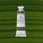 M. Graham & Co. Oil Paint - (1.25oz/37ml) Sap Green (Permanent)